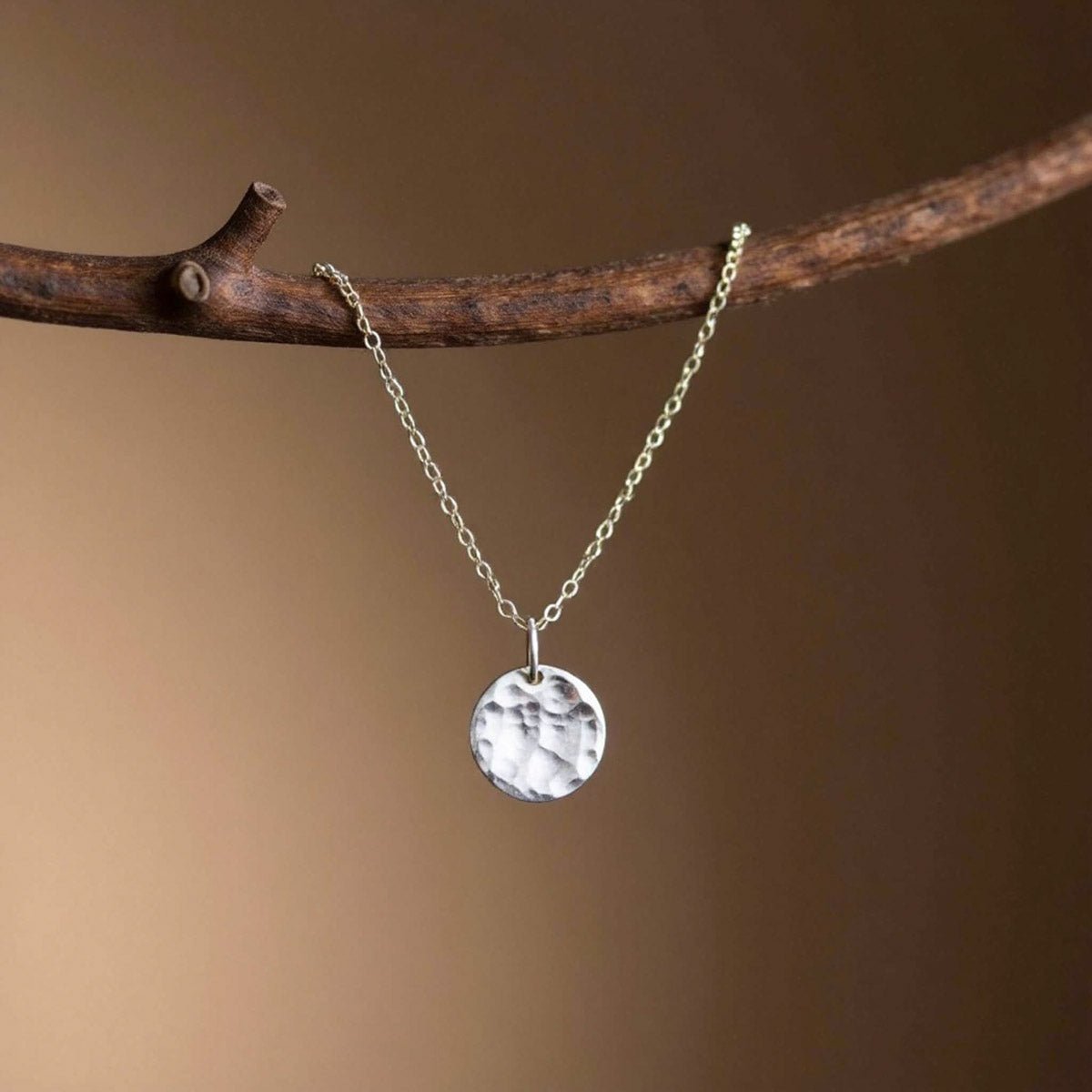 An einem Ast hängt eine feine Silberkette mit einem runden, gehämmerten Plättchen-Anhänger.