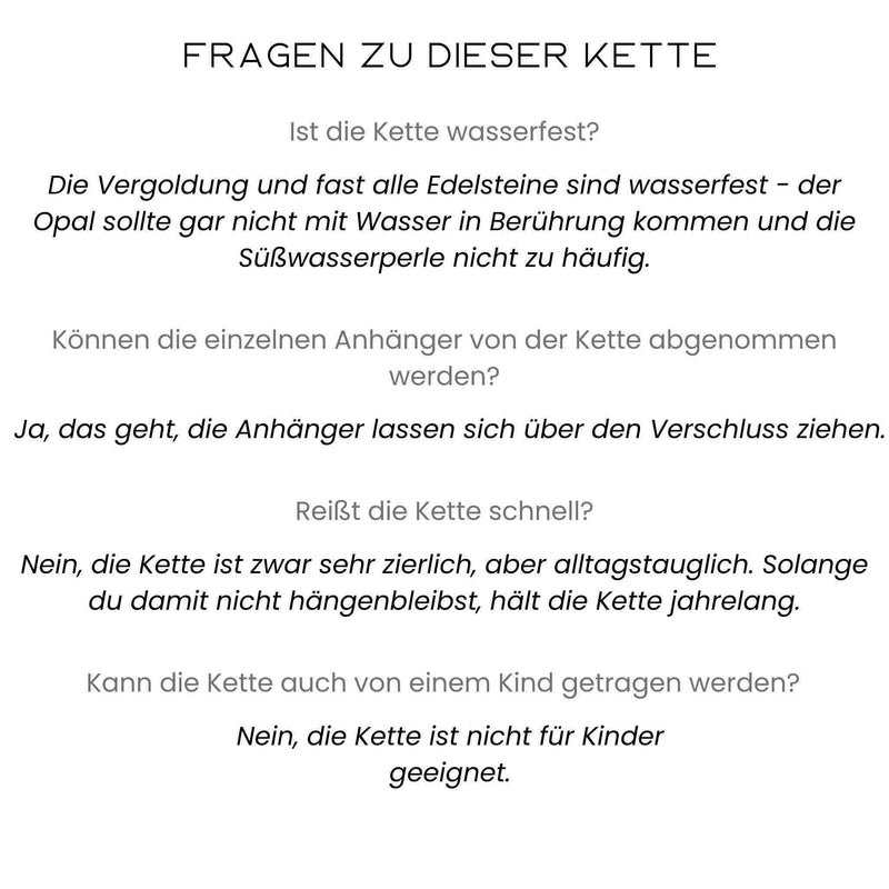 Text mit Informationen zur Initialkette